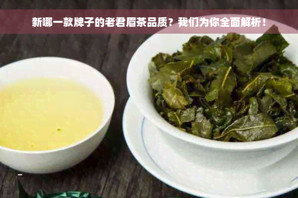 新哪一款牌子的老君眉茶品质？我们为你全面解析！