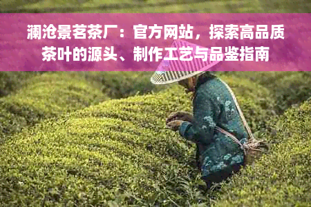 澜沧景茗茶厂：官方网站，探索高品质茶叶的源头、制作工艺与品鉴指南