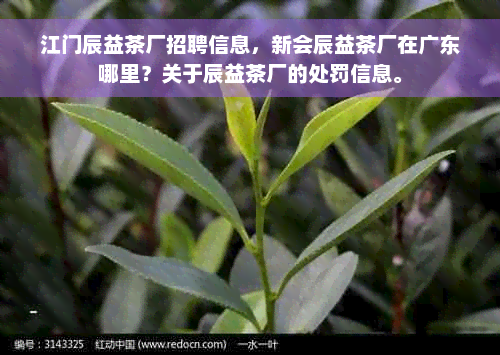 江门辰益茶厂招聘信息，新会辰益茶厂在广东哪里？关于辰益茶厂的处罚信息。