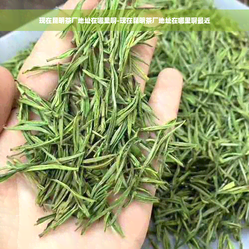 现在昆明茶厂地址在哪里啊-现在昆明茶厂地址在哪里啊最近