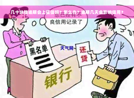 几十块钱逾期会上征信吗？怎么办？逾期几天会影响信用？