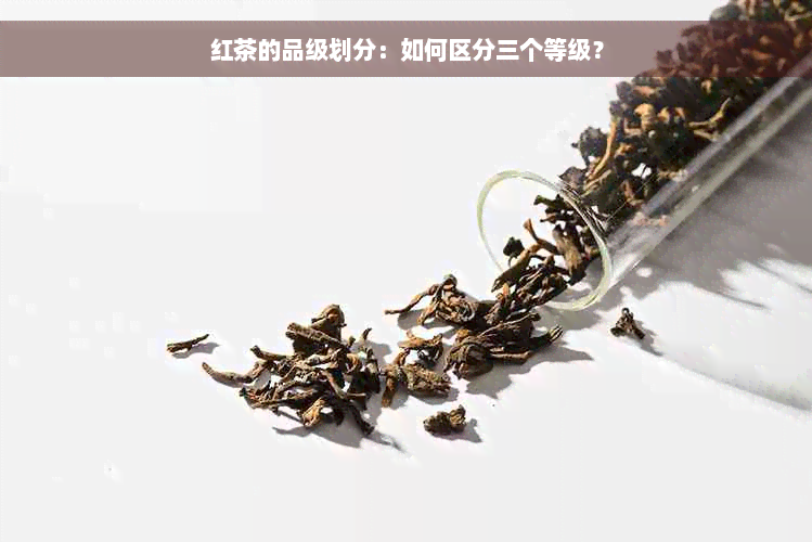 红茶的品级划分：如何区分三个等级？