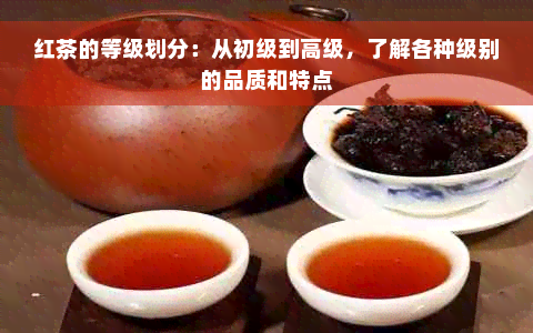 红茶的等级划分：从初级到高级，了解各种级别的品质和特点