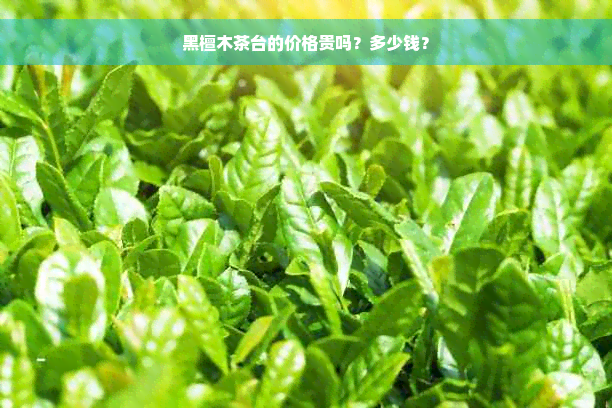 黑檀木茶台的价格贵吗？多少钱？