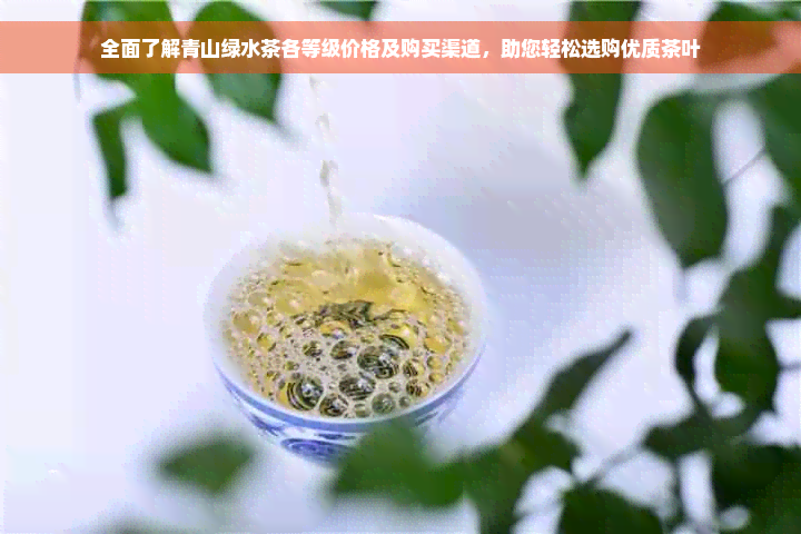 全面了解青山绿水茶各等级价格及购买渠道，助您轻松选购优质茶叶