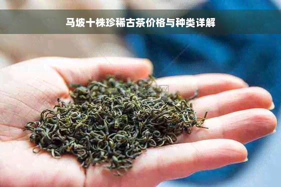 马坡十株珍稀古茶价格与种类详解