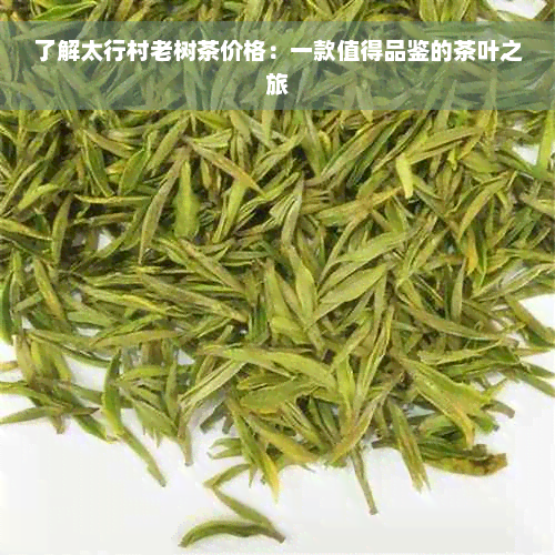 了解太行村老树茶价格：一款值得品鉴的茶叶之旅