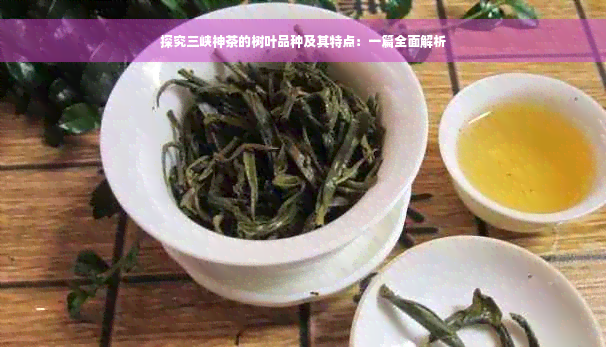 探究三峡神茶的树叶品种及其特点：一篇全面解析