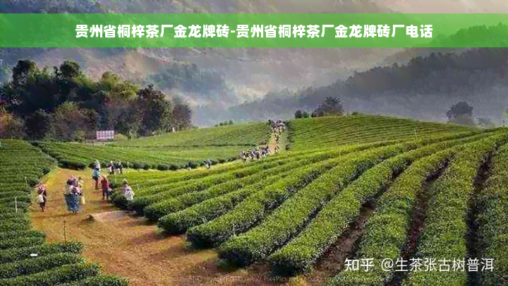 贵州省桐梓茶厂金龙牌砖-贵州省桐梓茶厂金龙牌砖厂电话