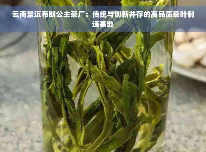 云南景迈布朗公主茶厂：传统与创新并存的高品质茶叶制造基地