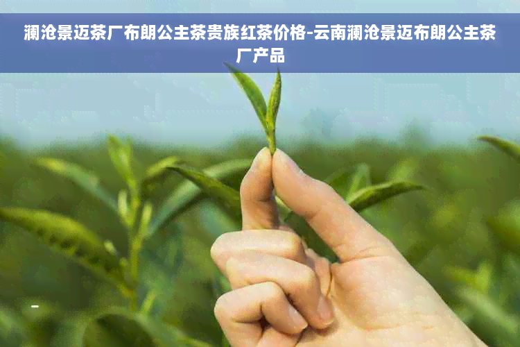 澜沧景迈茶厂布朗公主茶贵族红茶价格-云南澜沧景迈布朗公主茶厂产品