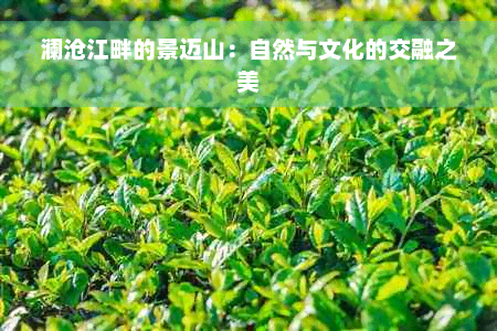 澜沧江畔的景迈山：自然与文化的交融之美