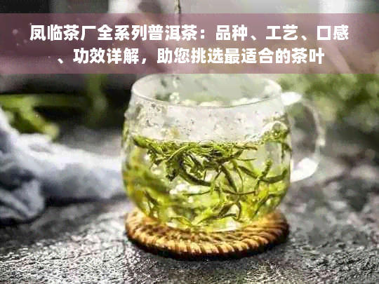 凤临茶厂全系列普洱茶：品种、工艺、口感、功效详解，助您挑选最适合的茶叶