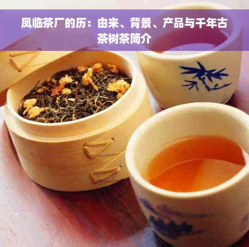 凤临茶厂的历：由来、背景、产品与千年古茶树茶简介