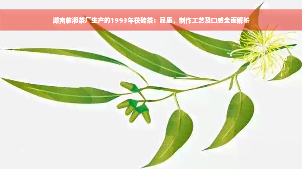 湖南临湘茶厂生产的1993年茯砖茶：品质、制作工艺及口感全面解析