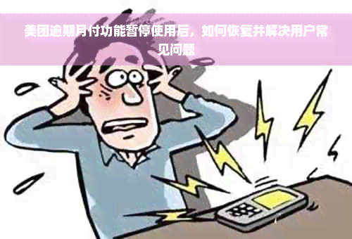 美团逾期月付功能暂停使用后，如何恢复并解决用户常见问题