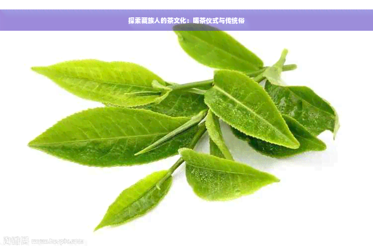 探索藏族人的茶文化：喝茶仪式与传统俗