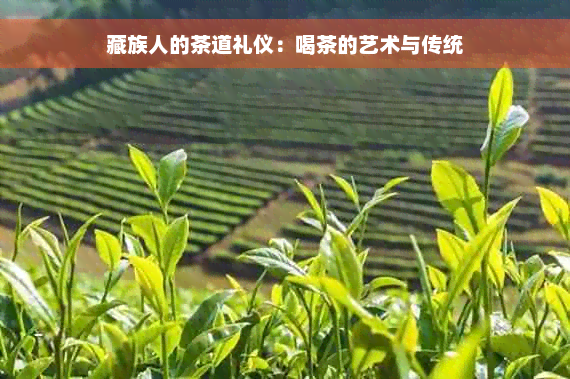 藏族人的茶道礼仪：喝茶的艺术与传统