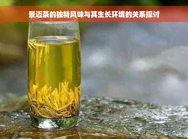 景迈茶的独特风味与其生长环境的关系探讨