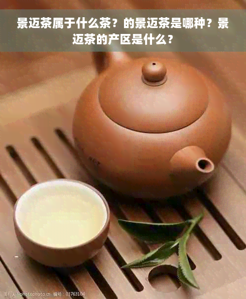 景迈茶属于什么茶？的景迈茶是哪种？景迈茶的产区是什么？