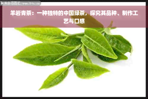 羊岩青茶：一种独特的中国绿茶，探究其品种、制作工艺与口感