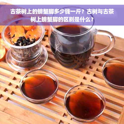 古茶树上的螃蟹脚多少钱一斤？古树与古茶树上螃蟹脚的区别是什么？