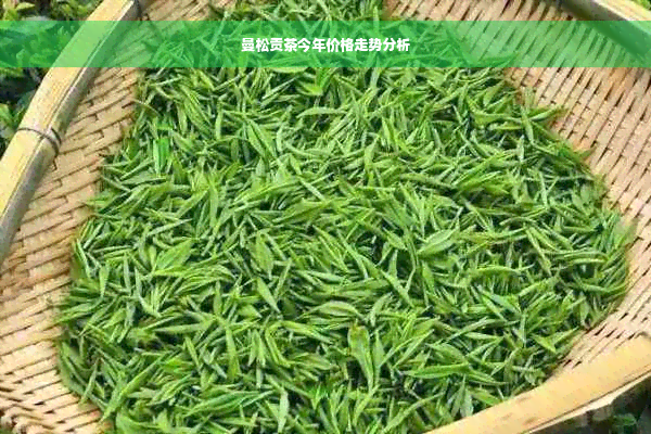 曼松贡茶今年价格走势分析