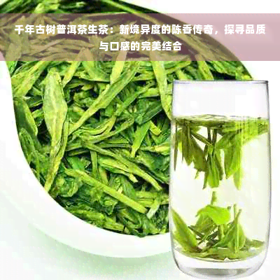 千年古树普洱茶生茶：新境异度的陈香传奇，探寻品质与口感的完美结合