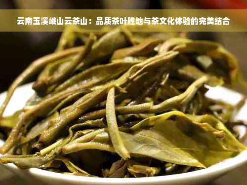 云南玉溪峨山云茶山：品质茶叶胜地与茶文化体验的完美结合