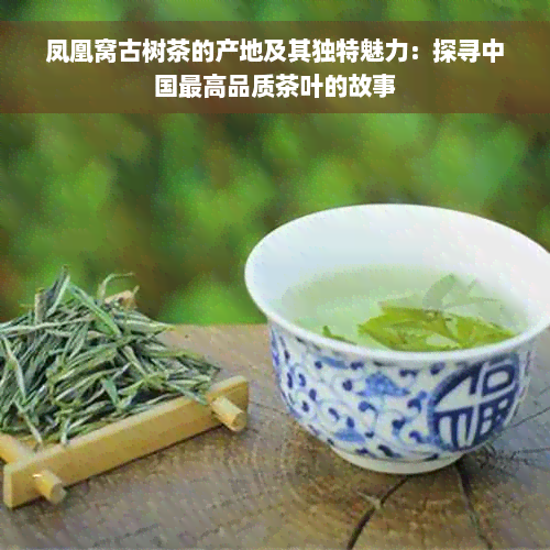 凤凰窝古树茶的产地及其独特魅力：探寻中国更高品质茶叶的故事