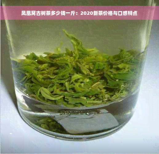 凤凰窝古树茶多少钱一斤：2020新茶价格与口感特点