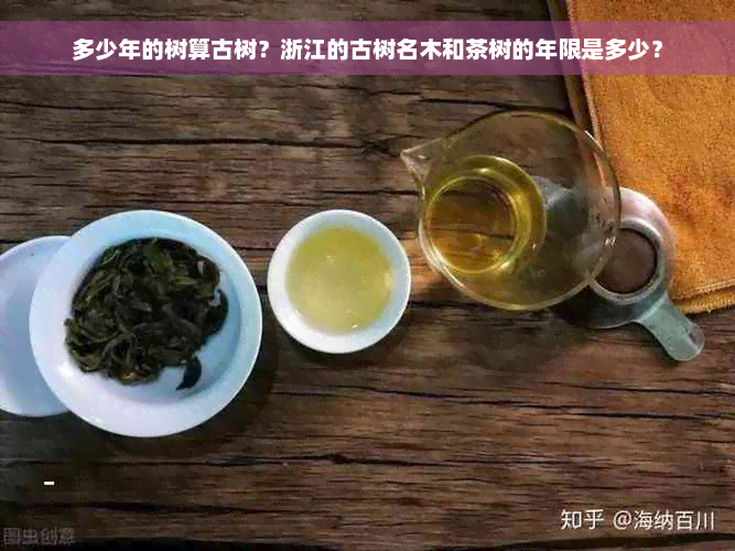 多少年的树算古树？浙江的古树名木和茶树的年限是多少？