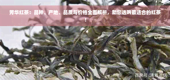 芳华红茶：品种、产地、品质与价格全面解析，助您选购最适合的红茶！