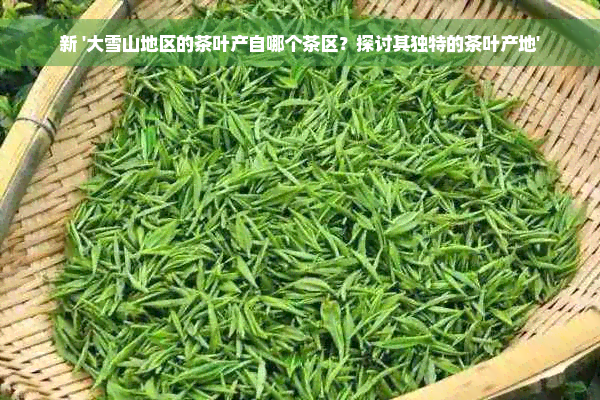 新 '大雪山地区的茶叶产自哪个茶区？探讨其独特的茶叶产地'