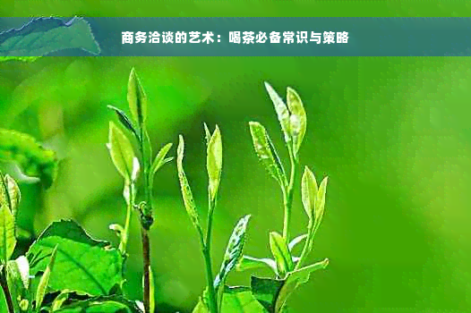 商务洽谈的艺术：喝茶必备常识与策略