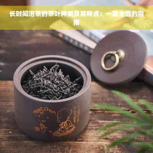 长时间泡茶的茶叶种类及其特点：一篇全面的指南