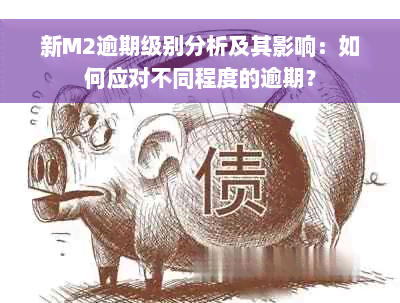 新M2逾期级别分析及其影响：如何应对不同程度的逾期？