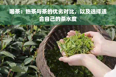 喝茶：热茶与茶的优劣对比，以及选择适合自己的茶水度