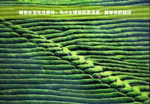 喝茶必须先洗茶吗：为什么喝茶前要洗茶，解答您的疑问