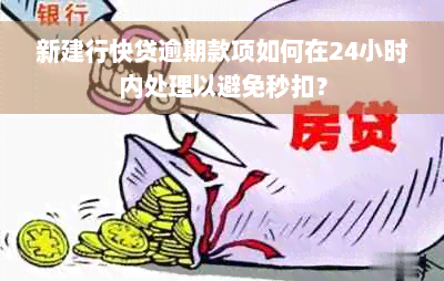 新建行快贷逾期款项如何在24小时内处理以避免秒扣？