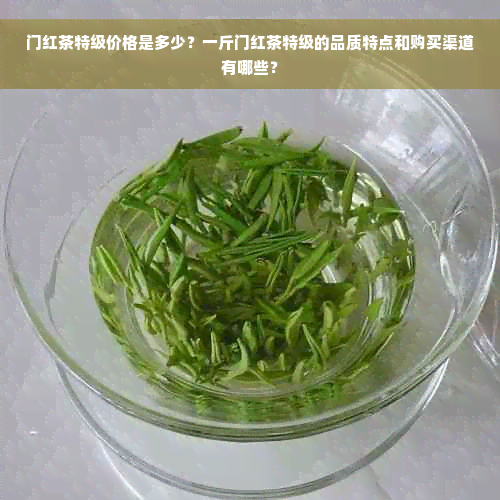 门红茶特级价格是多少？一斤门红茶特级的品质特点和购买渠道有哪些？