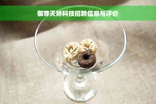 御芽天娇科技招聘信息与评价