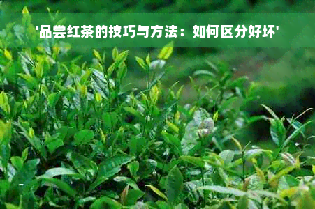 '品尝红茶的技巧与方法：如何区分好坏'