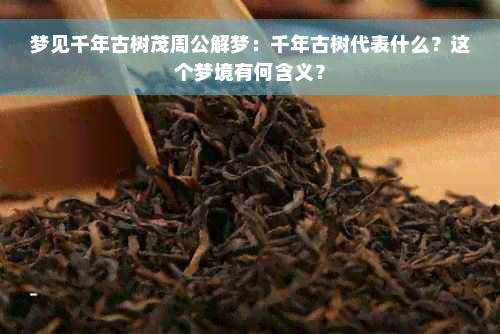 梦见千年古树茂周公解梦：千年古树代表什么？这个梦境有何含义？