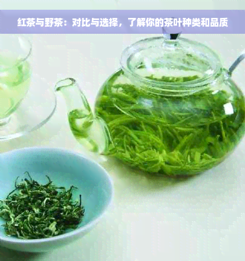 红茶与野茶：对比与选择，了解你的茶叶种类和品质