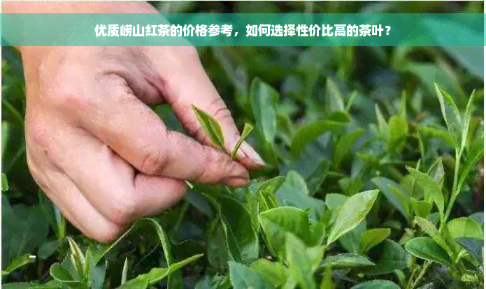 优质崂山红茶的价格参考，如何选择性价比高的茶叶？