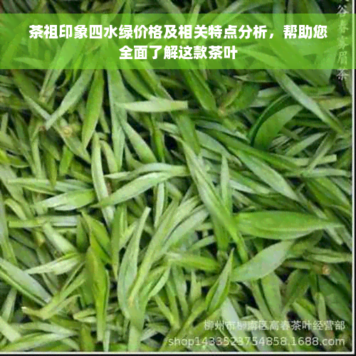 茶祖印象四水绿价格及相关特点分析，帮助您全面了解这款茶叶