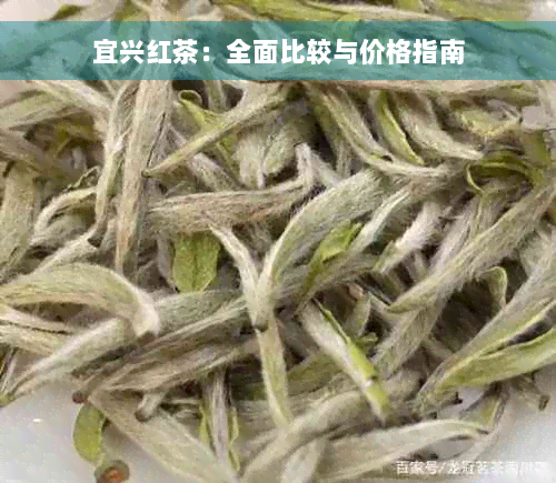 宜兴红茶：全面比较与价格指南