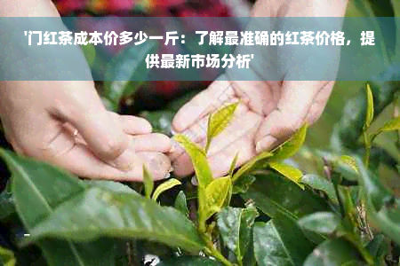 '门红茶成本价多少一斤：了解最准确的红茶价格，提供最新市场分析'