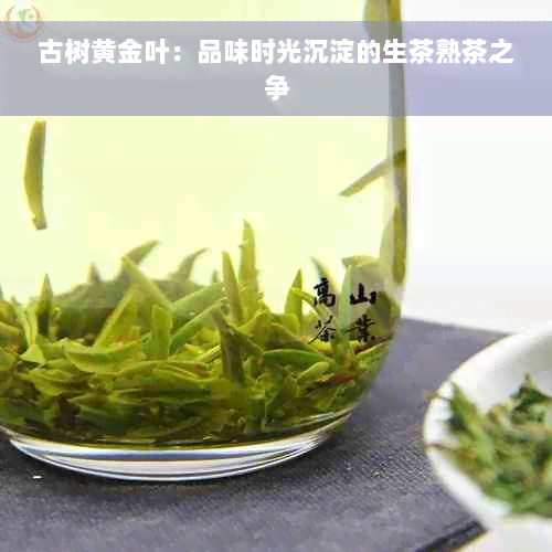 古树黄金叶：品味时光沉淀的生茶熟茶之争